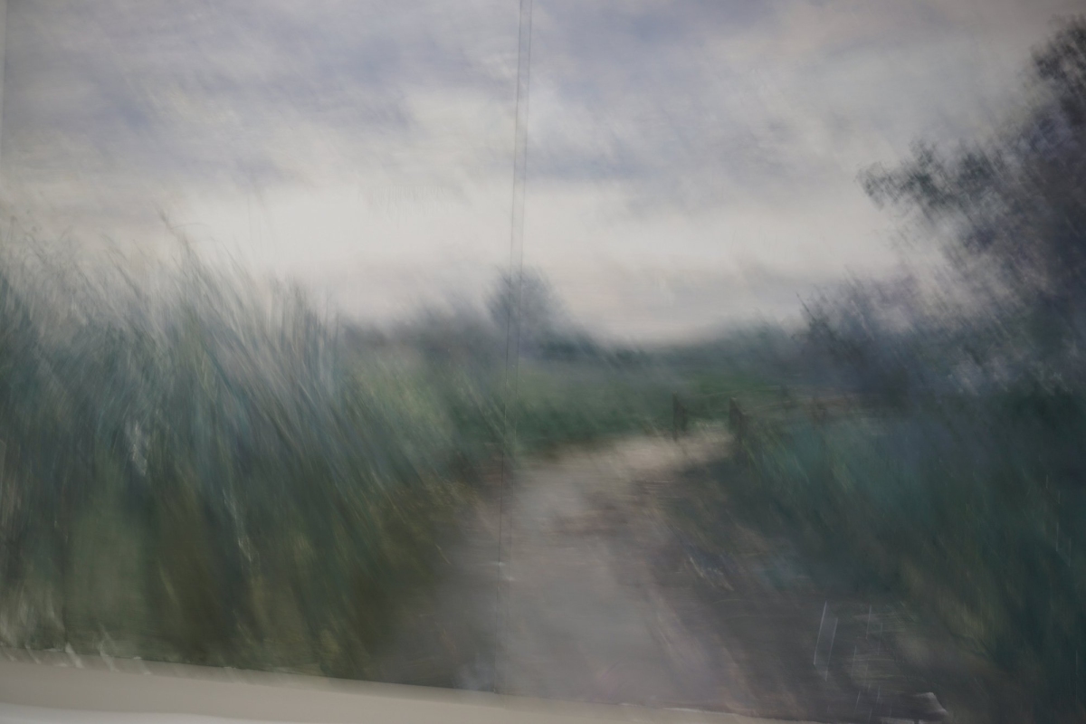 DSC08318.JPG