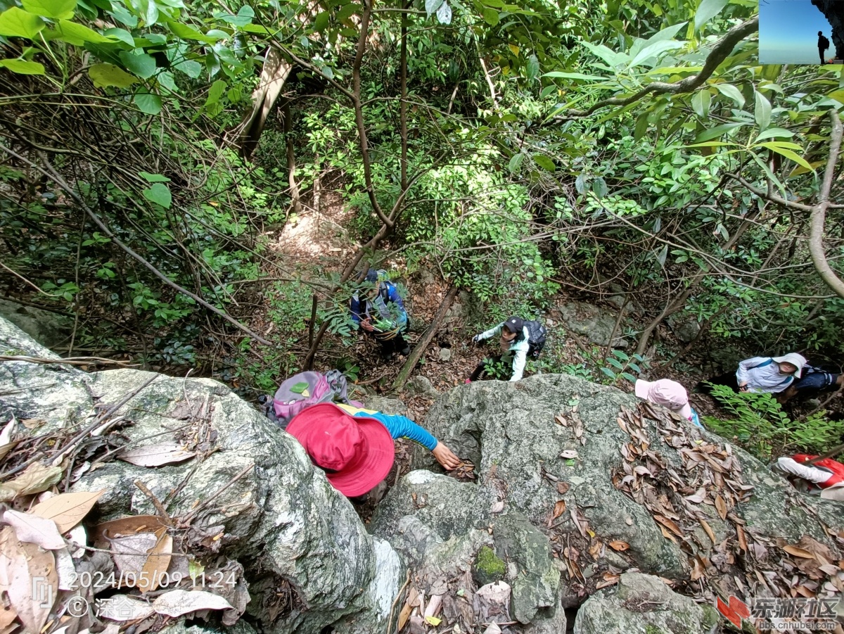 IMG20240509112438.jpg