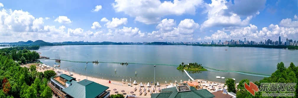 东湖沙滩：蓝天碧水净沙滩，处在东湖不一般。四面高楼林树绕，客逢夏日免衣冠。  柯树.jpg