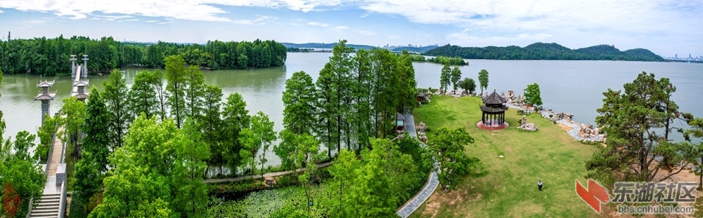 东湖初夏落雁岛：叠石听涛地，磨山隔水间。索桥连两岸，林翠绕洲湾。古渡芦洲歇，鸟鸣.jpg