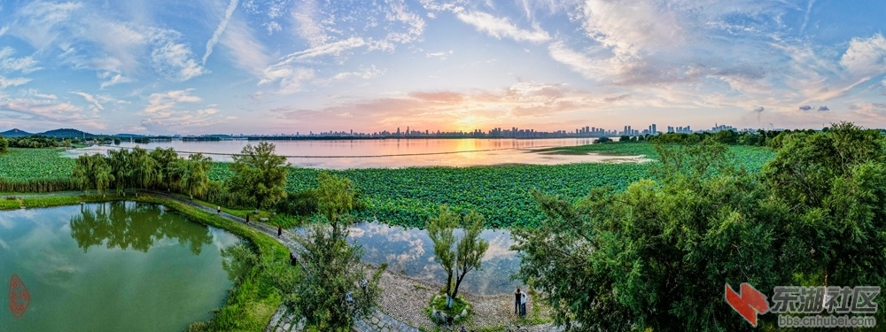 东湖晚霞：曲港听荷迎晚霞，荷铺湖上把云遮。人行湖畔均留影，岸柳垂塘落影嘉。  柯树.jpg