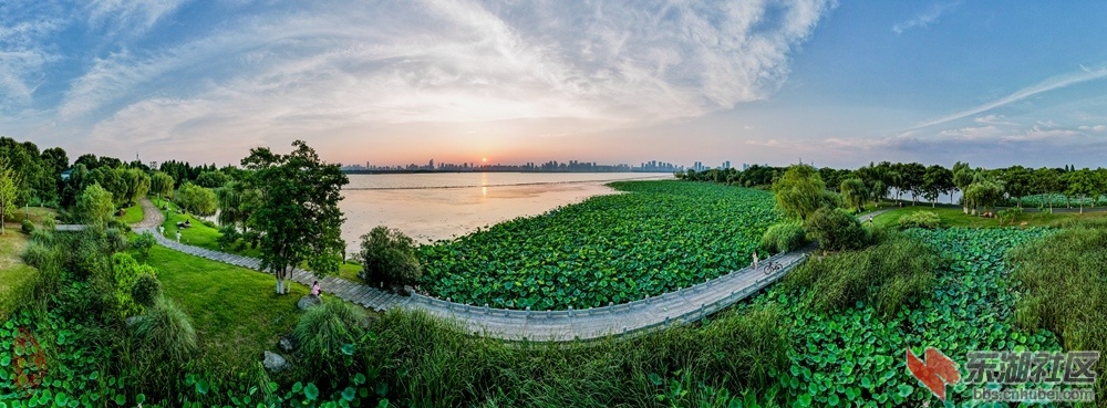 东湖晚照：坐对东湖沐晚风，柳边孤石夕阳红。前途有望皆努力，尽在无边遐想中。柯树勋.jpg