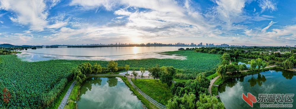 东湖曲港听荷 ：云白荷青落晚霞，东湖曲岸看荷花。归来不觉池边望，杨柳依依暗影斜。 .jpg