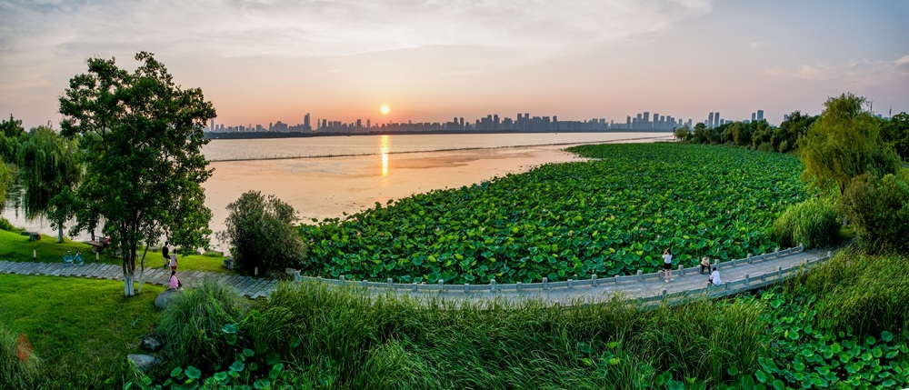 东湖石桥夕照  见石停车绿道边，临湖独对夕阳天。平桥接水挨荷近，拂柳凉风把衣牵。柯.jpg