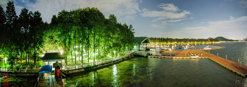 东湖湖光阁码头夜色之三：湖光阁夜无人守，栈道推车任客行。绕阁周围林树绿，月明云淡.jpg