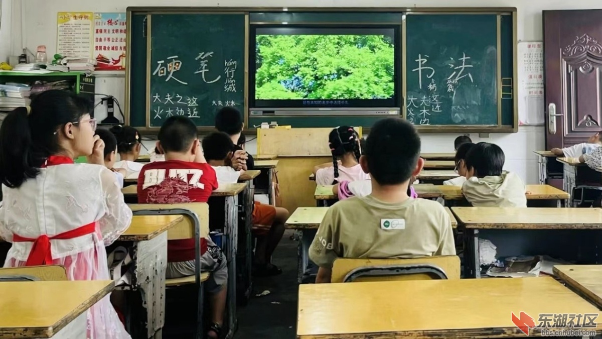图片20.jpg