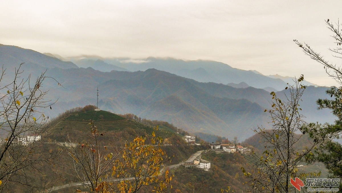 IMG_20191112_093542_1.jpg