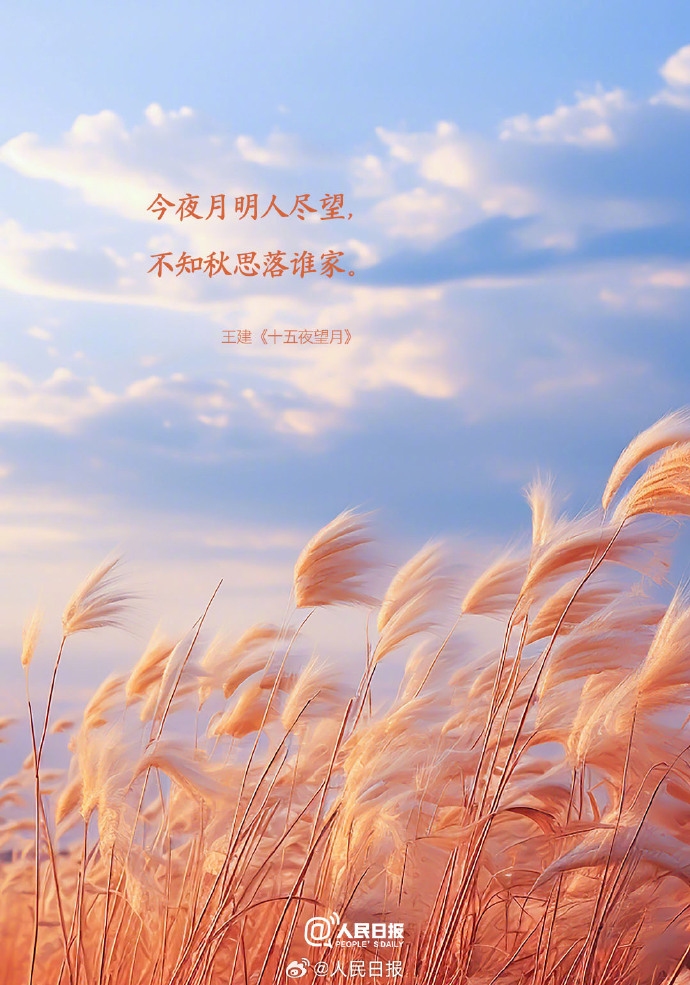 0033ImPzly1htgef4q30uj60u016t11y02.jpg
