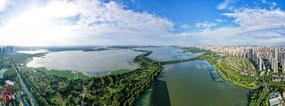 东湖华侨城湿地公园：湖中绿道把湖穿，湿地公园任自然。沿岸青荷装夏日，华侨城占半湖.jpg