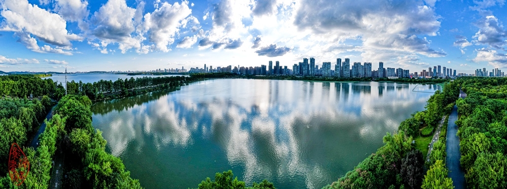 东湖夏云；东湖似海路给分，荡漾平湖映白云。天上云团楼顶过，我看风景不同群。  柯树.jpg