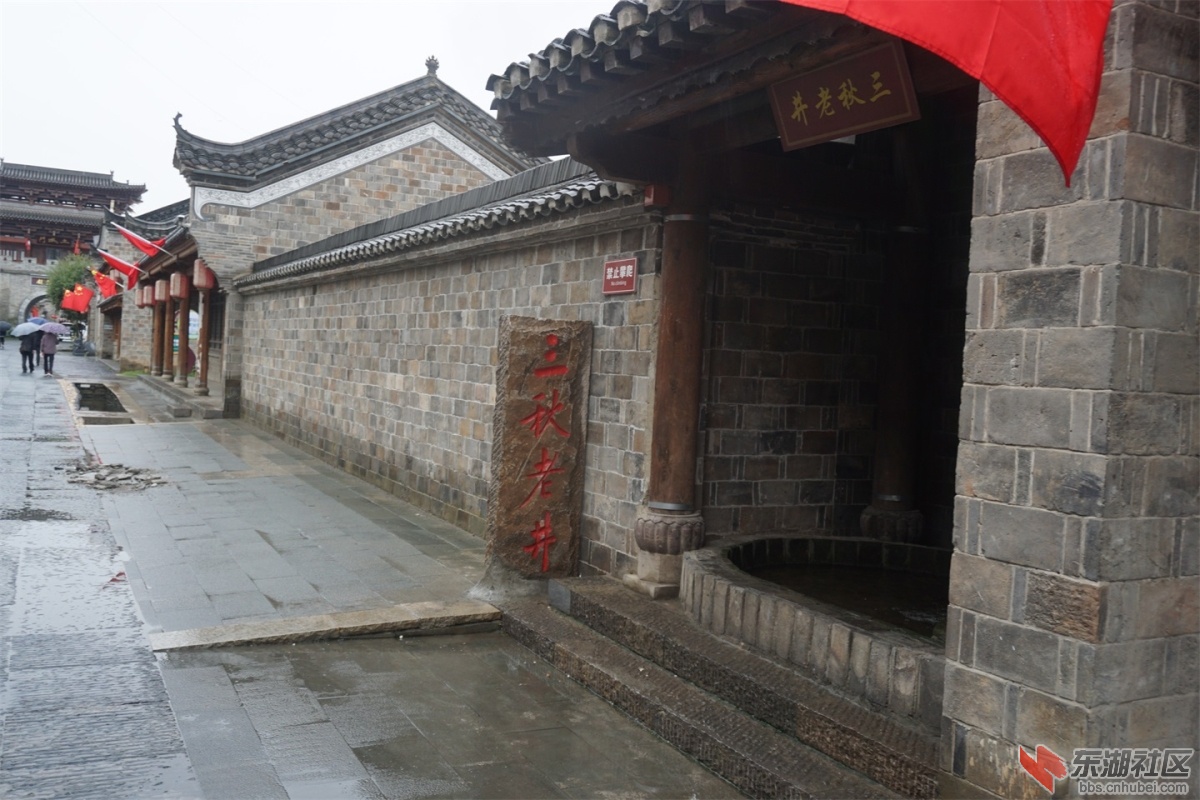 DSC02194.JPG