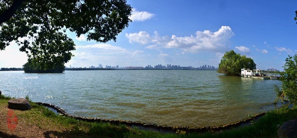 东湖“雁聚佛脚”听浪：浪起东湖撞树桩，千重碧水景无双。叶飞孤岛和波滚，，石上荫凉.jpg