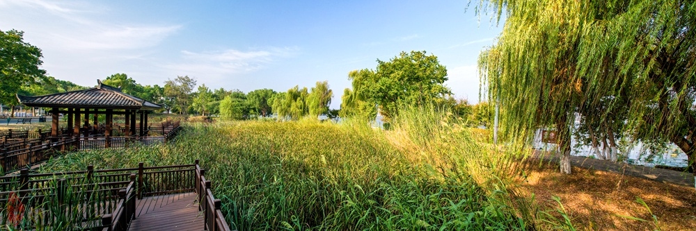 东湖半湖亭：穿城过市至乡村，落叶飘零似断魂。骑到半湖亭外早，晨光明暗柳条翻。  柯.jpg