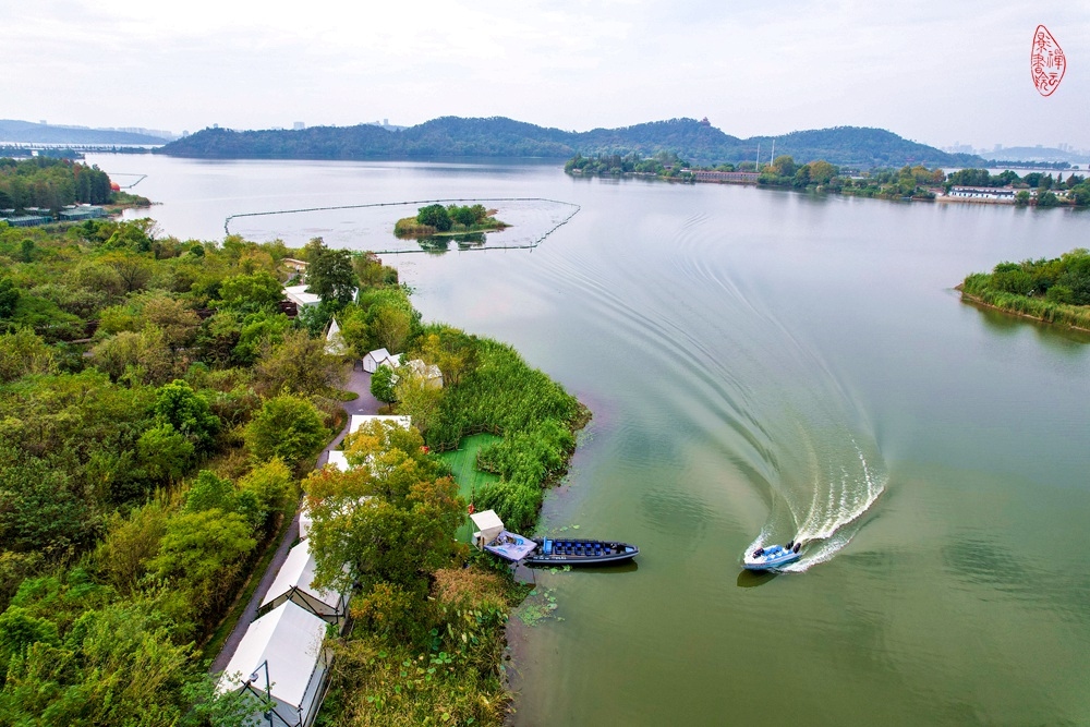 东湖生境雁岛寻芳： 秋日乘船雁岛滨，肖家咀北作新邻。帐篷新搭湖边上，野趣人工和在.jpg
