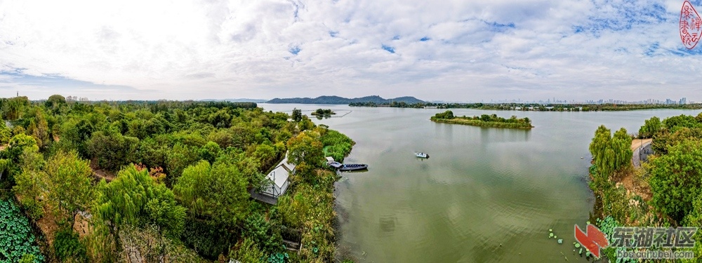 东湖生境雁岛之一：树林乌桕早时红，湖畔林间隐帐篷。花谢青莲圆叶绿，游船孤岛鸟相融.jpg