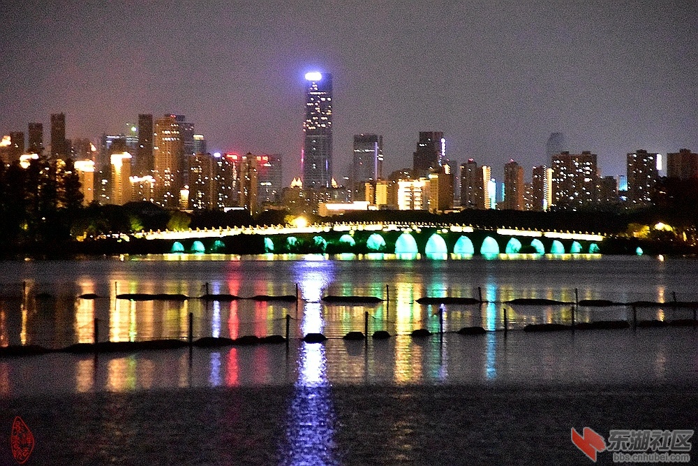 310.东湖雁归桥夜色：二十三孔石拱桥，长虹日夜渡人潮。城楼灯火桥相映，晃入星光至碧.jpg
