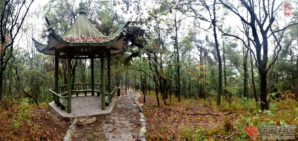 与张志方游东湖隐鹤亭：叶落秋山山不空，鸟鸣虫语静无风。毕家山 岭东湖 畔，与友闲行.jpg