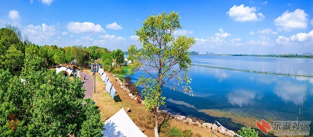 东湖太渔桥湿地公园：湖滨湿地绿林边，各样帐蓬搭水沿。树色容颜秋暮换，东湖碧水映蓝.jpg