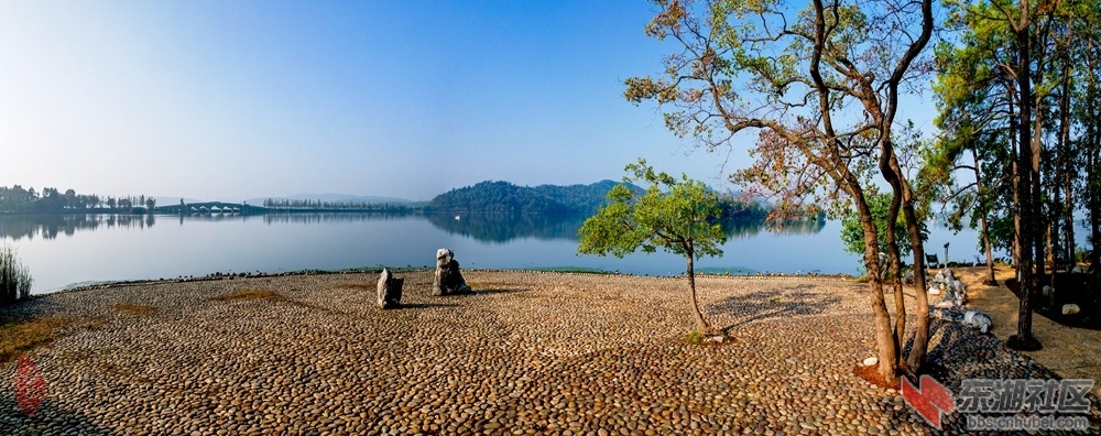 东湖落雁岛“山盟海誓”：鹅卵石滩至水边，红黄乌桕历霜天。山盟海誓皆心愿，到老白头.jpg