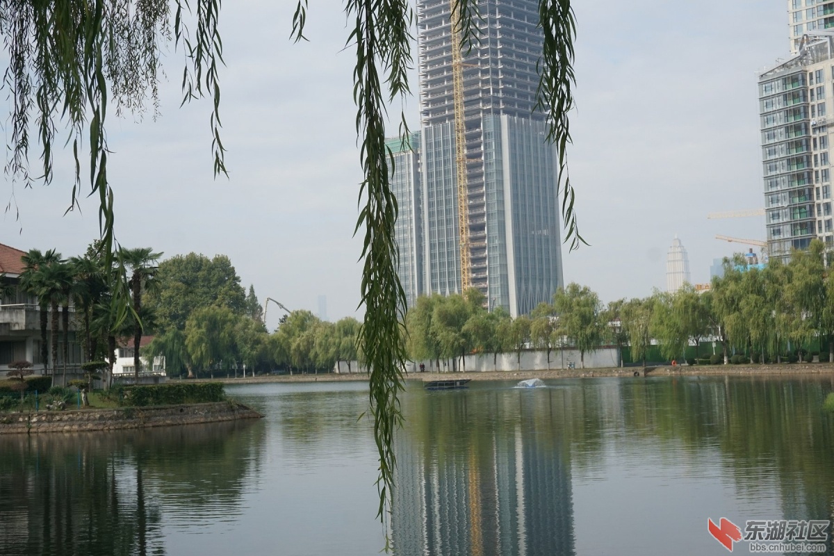 DSC04973.JPG