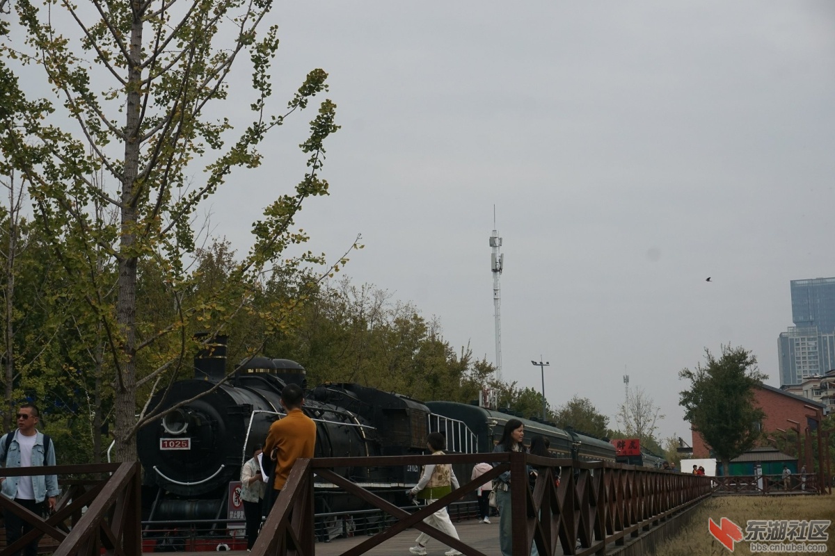 DSC06997.JPG
