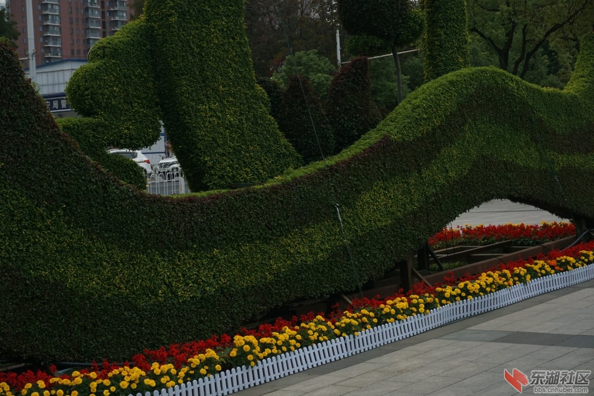 DSC07693.JPG