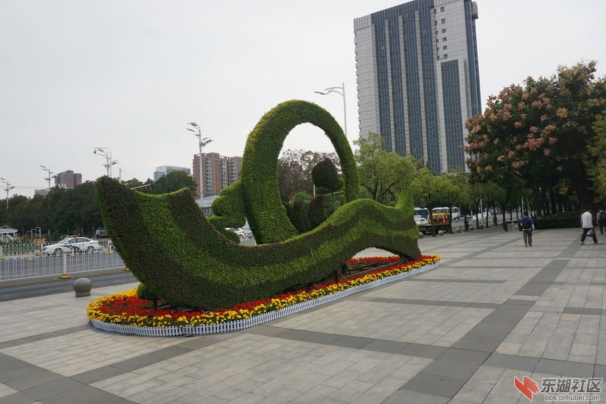 DSC07696.JPG