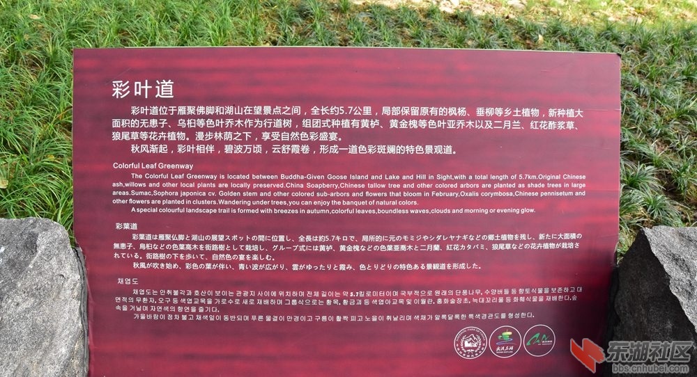 DSC_5103.JPG
