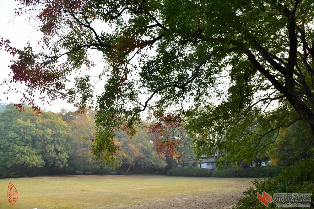 DSC_5355.JPG