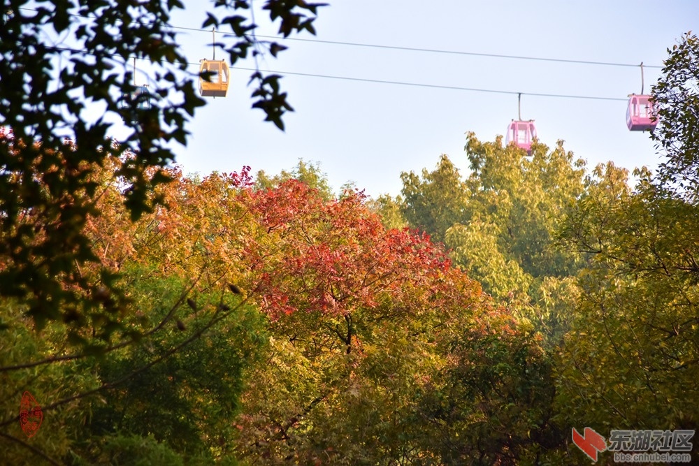 DSC_5446.JPG