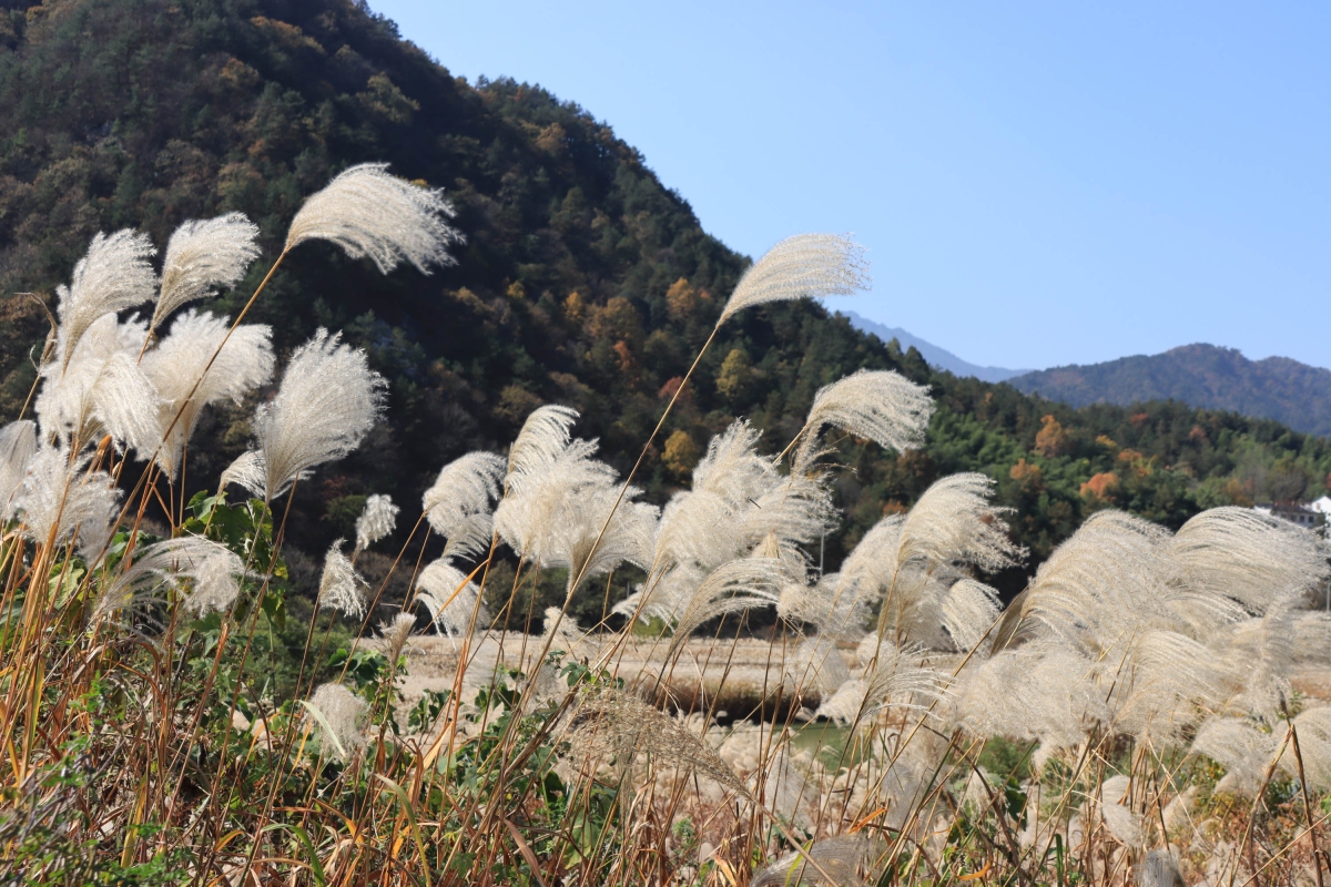 IMG_7434_1.jpg