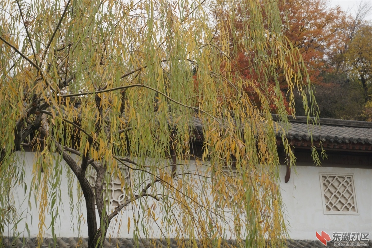 DSC08824.JPG