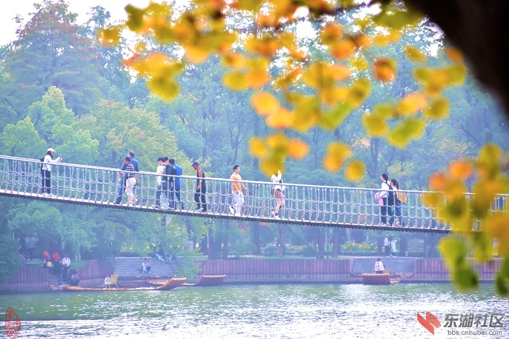 与孙子过东湖雁洲索桥：乌龙咀上索桥横，踏板悬空晃荡生。我有恐高孙子晓，贴身扶我向.jpg