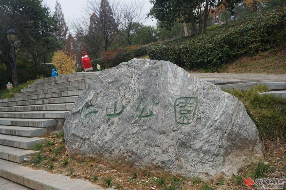 DSC08984.JPG