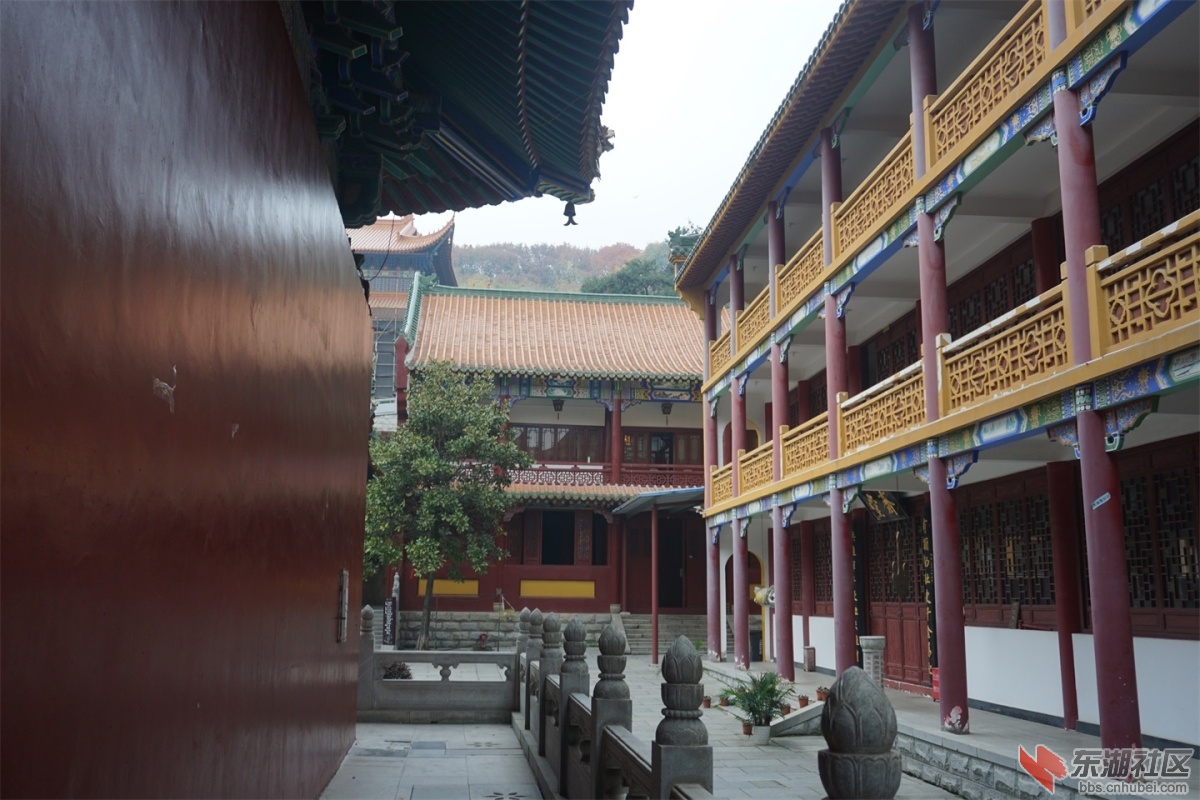 DSC09050.JPG