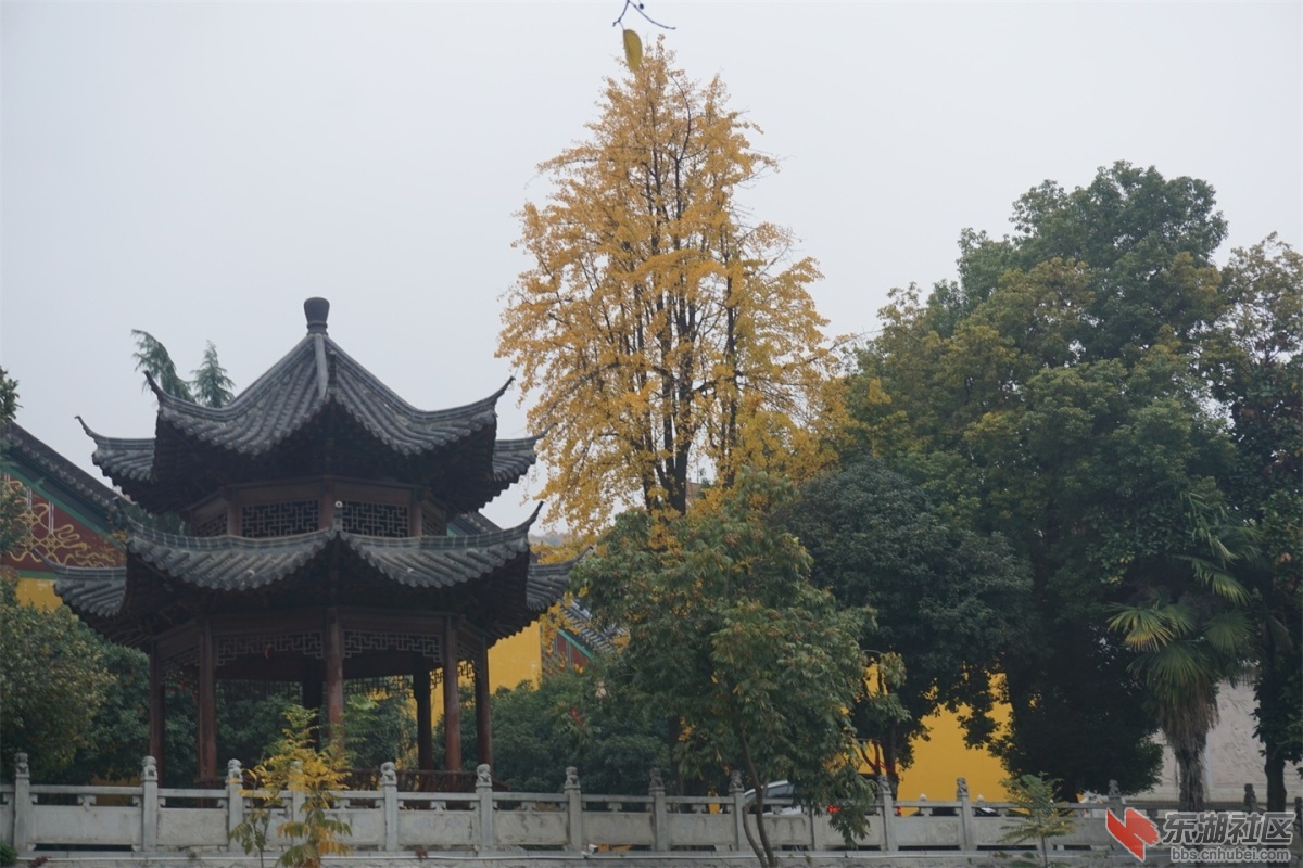 DSC09017.JPG