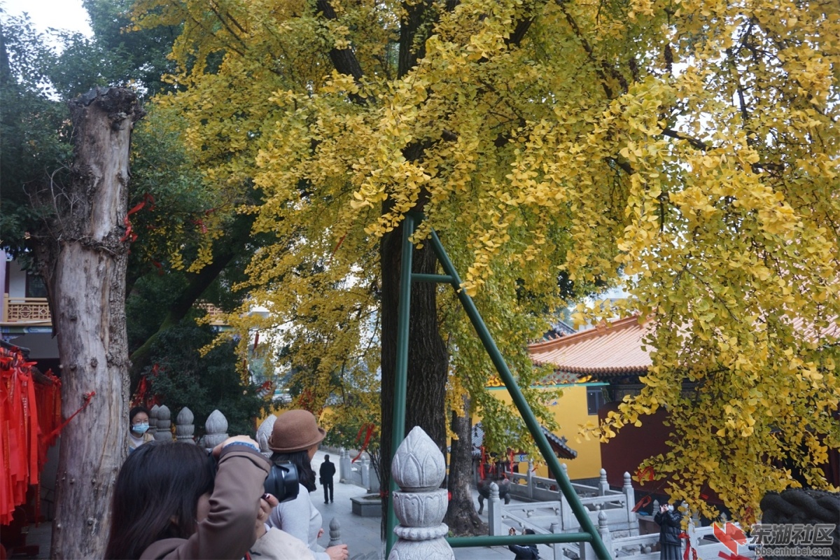DSC09032.JPG