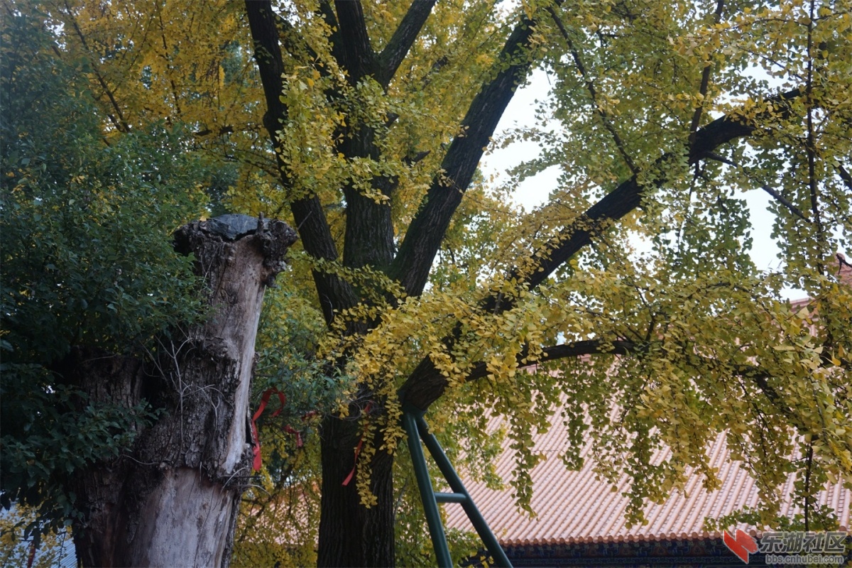 DSC09035.JPG