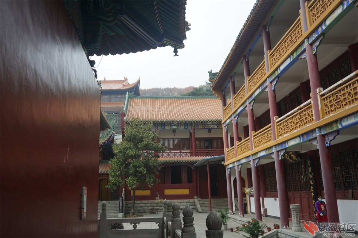 DSC09055.JPG