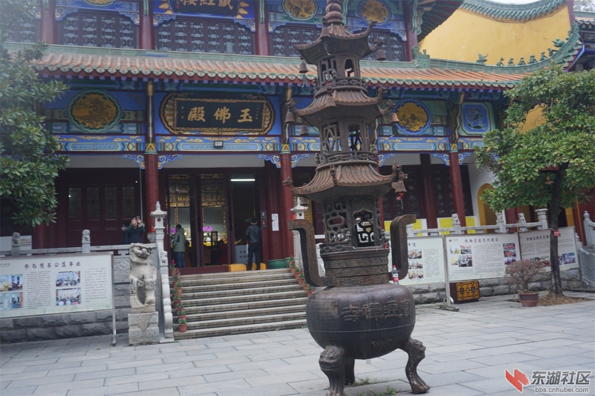 DSC09060.JPG