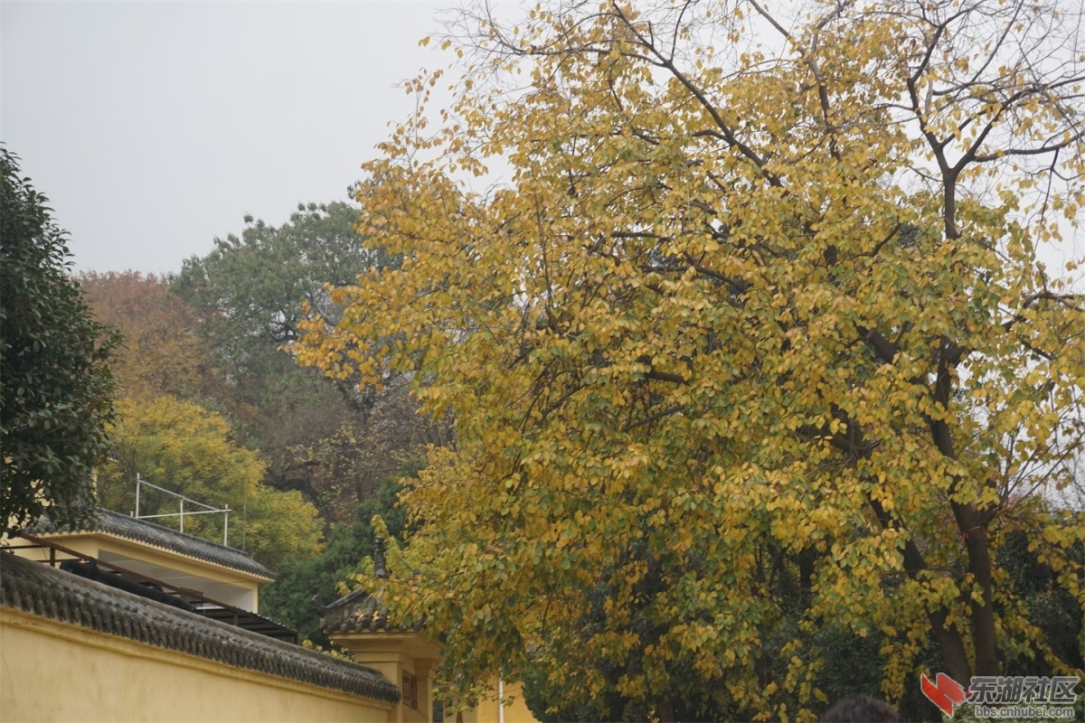 DSC09089.JPG