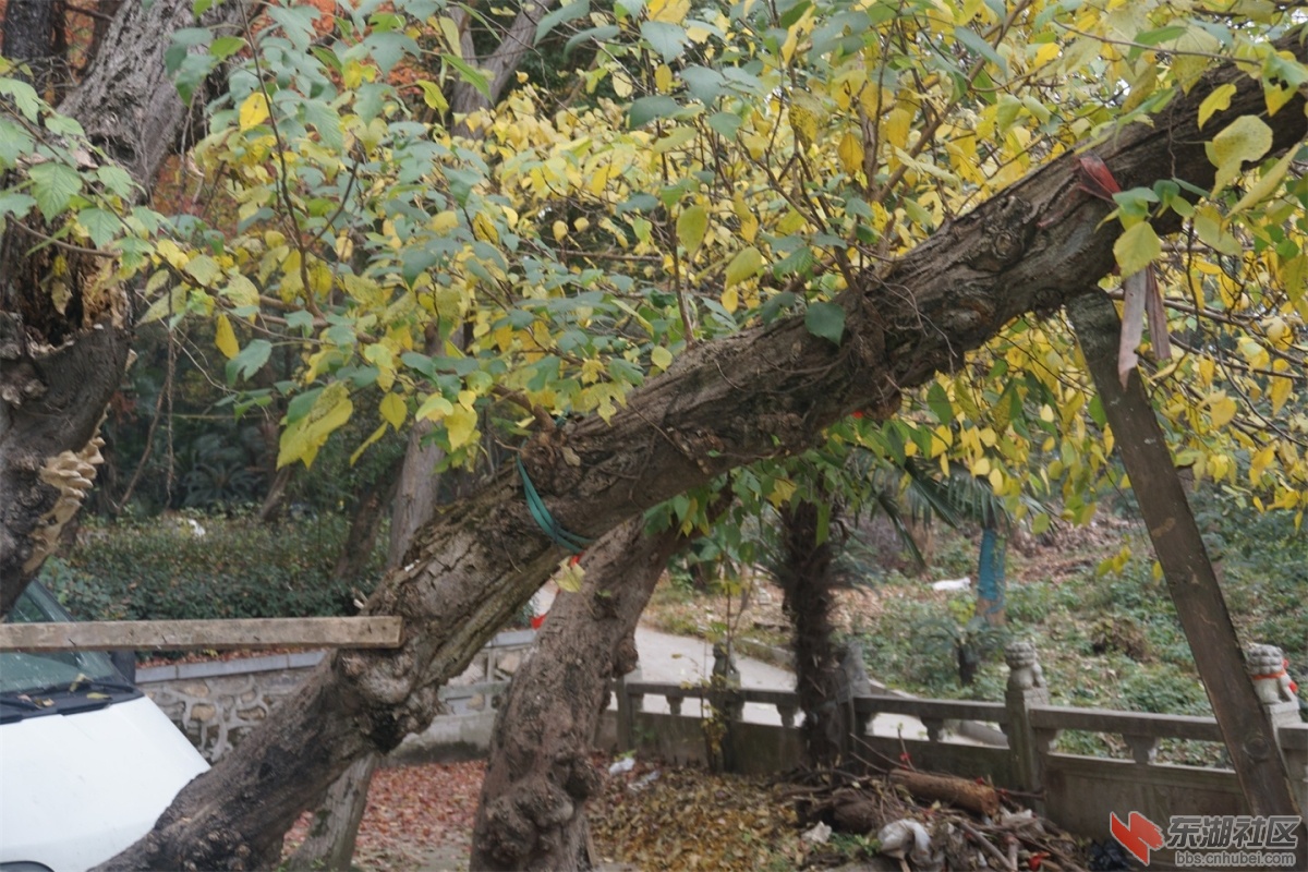 DSC09103.JPG