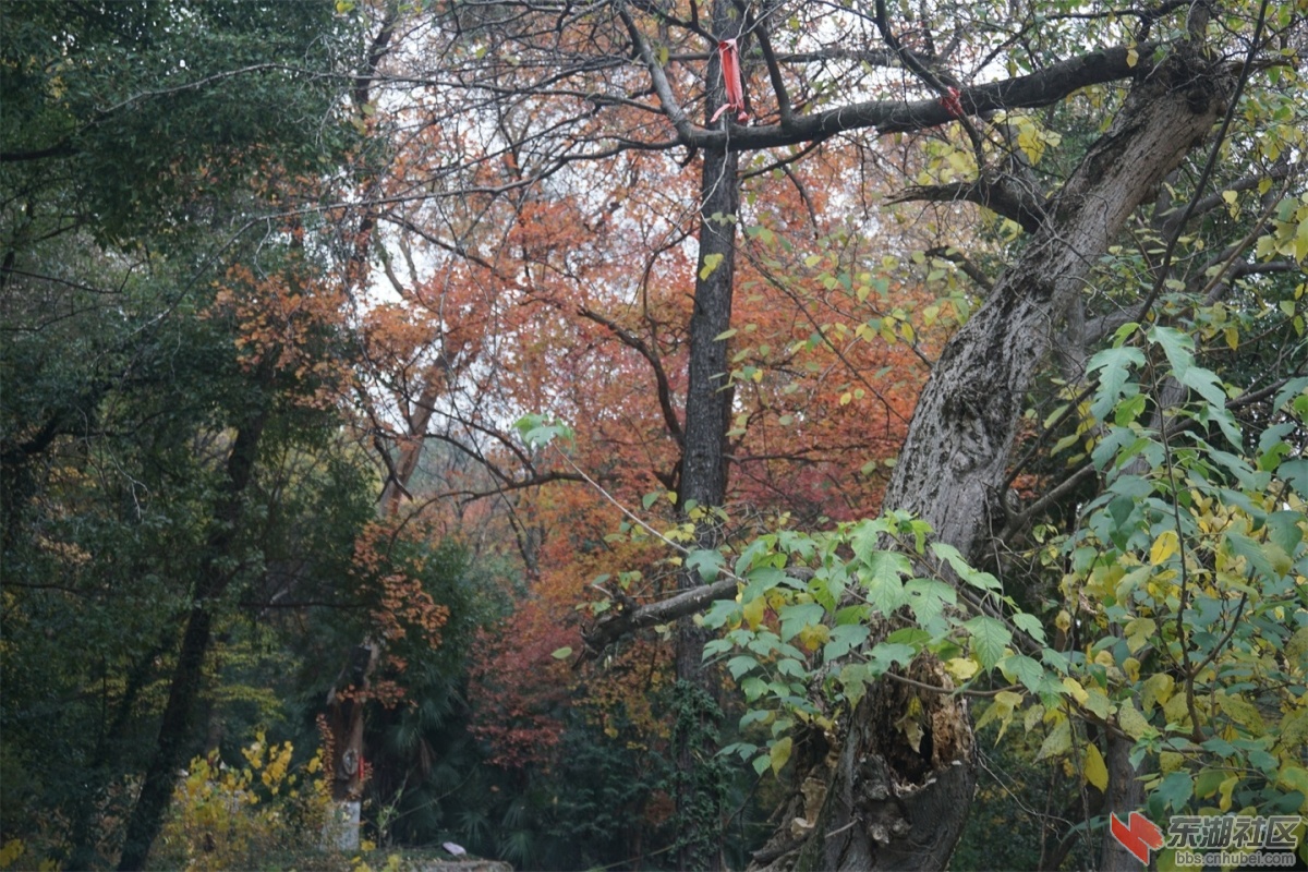 DSC09108.JPG