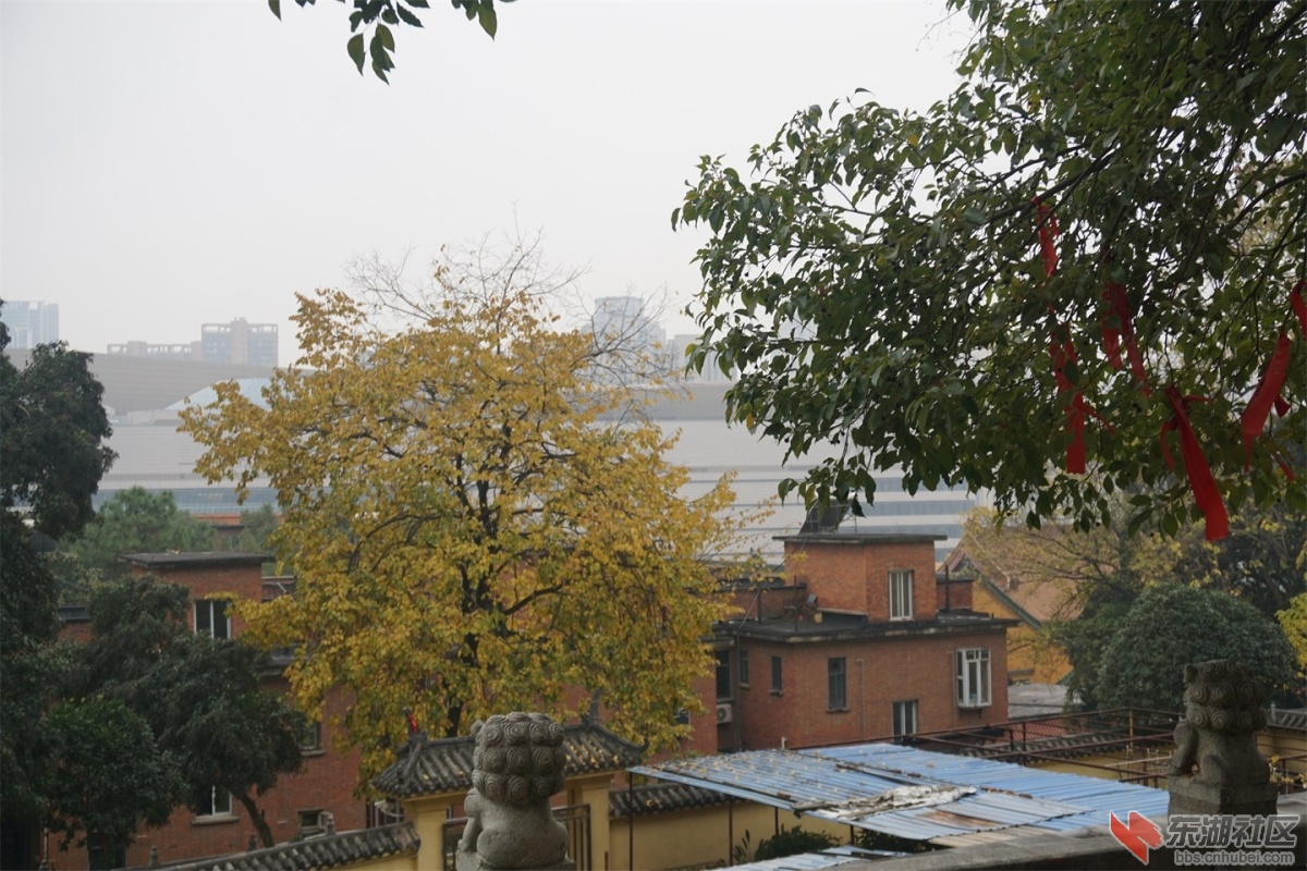 DSC09113.JPG