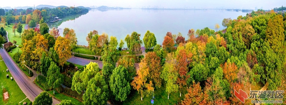 磨山彩叶道：东湖冬日彩缤纷，一路行来一路闻。城市喧嚣郊外静，草坪青绿亦宜君。 柯.jpg
