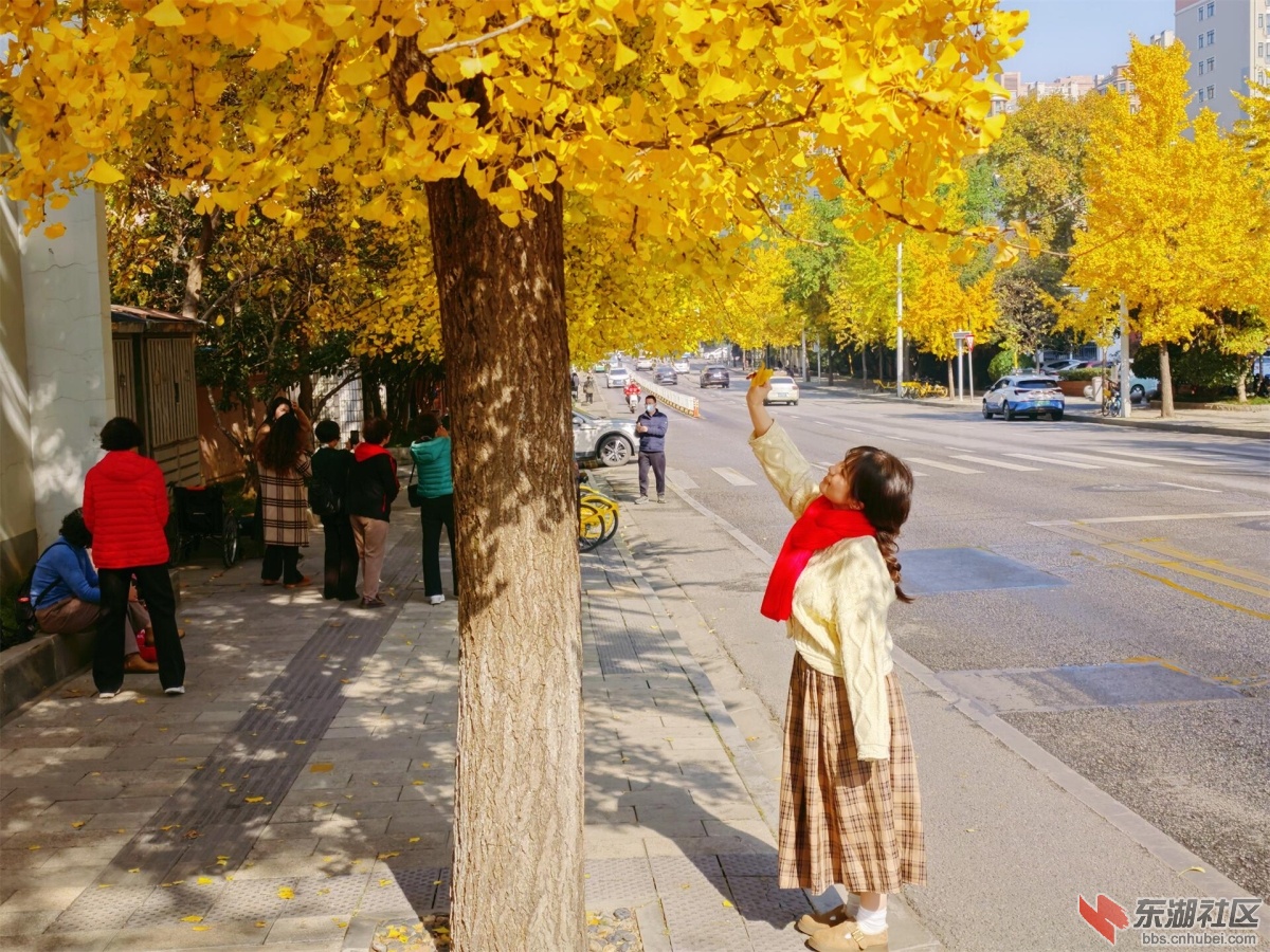 MVIMG_20241202_115441.jpg
