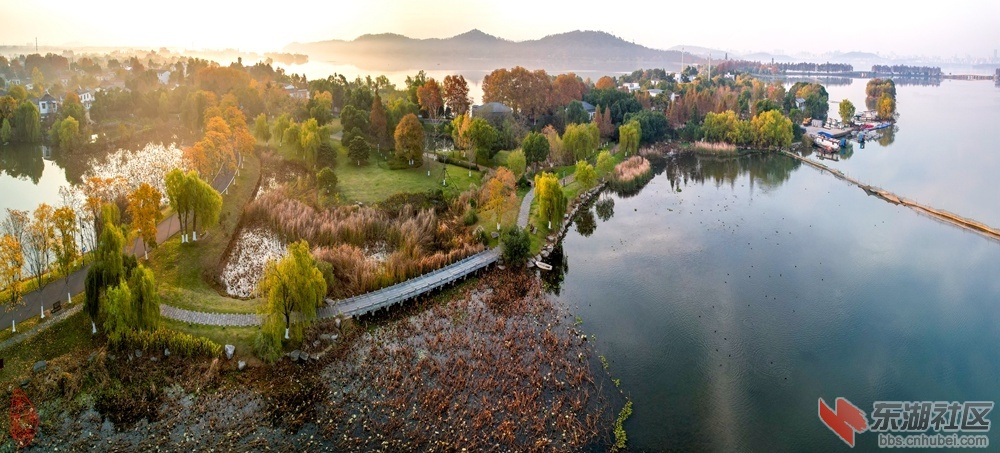 东湖芳香园冬：黄叶芳园晨雾时，磨山旭日未来迟。石桥芦苇垂黄柳，山水清音我自知。 .jpg