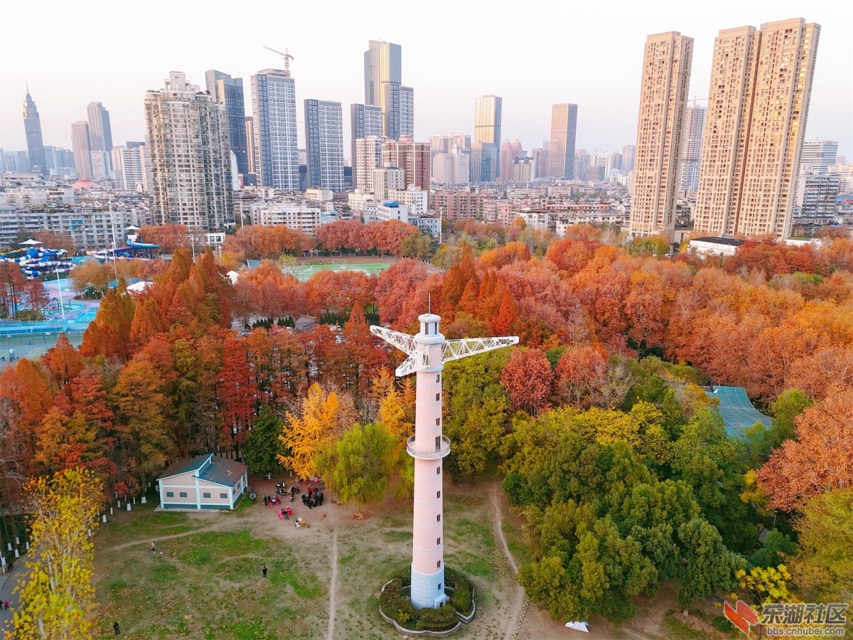 DJI_20241214171636_0067_D.JPG