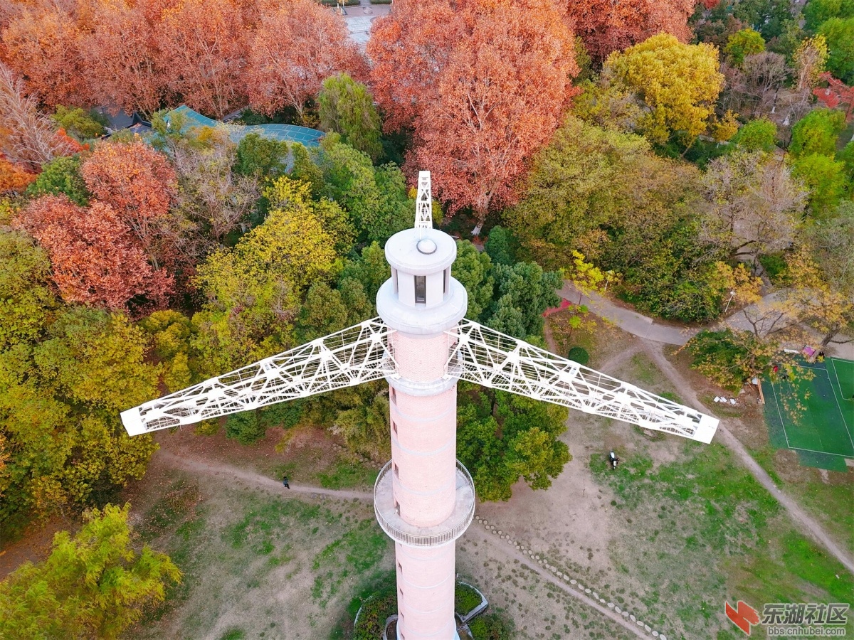 DJI_20241214172208_0079_D.JPG