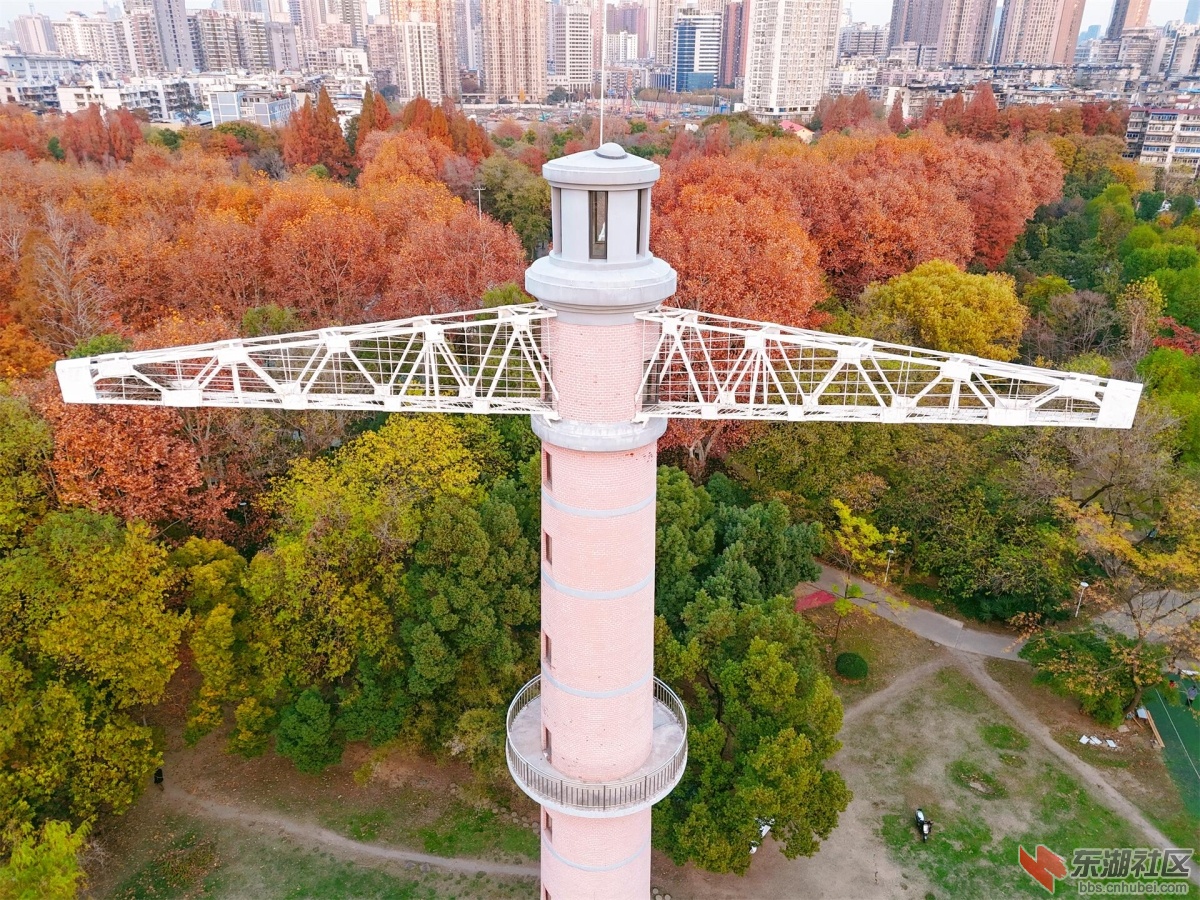 DJI_20241214171924_0073_D.JPG